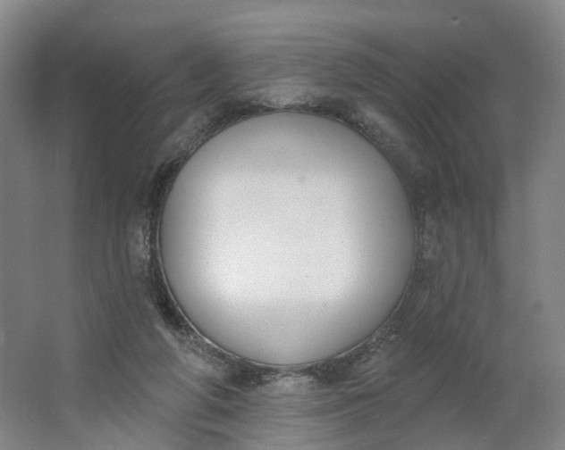 X0000062860210200601271538