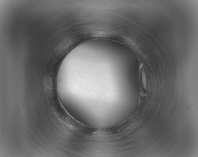 X0000062860211200601271538