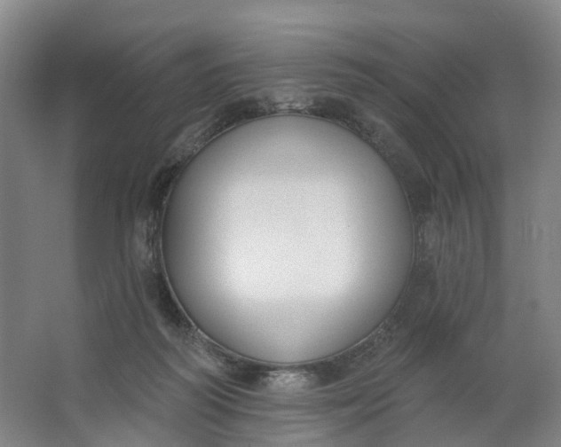 X0000062860218200601271538