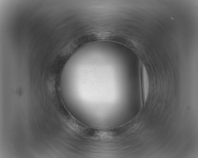 X0000062860221200601271538