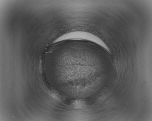X0000062860223200601271538