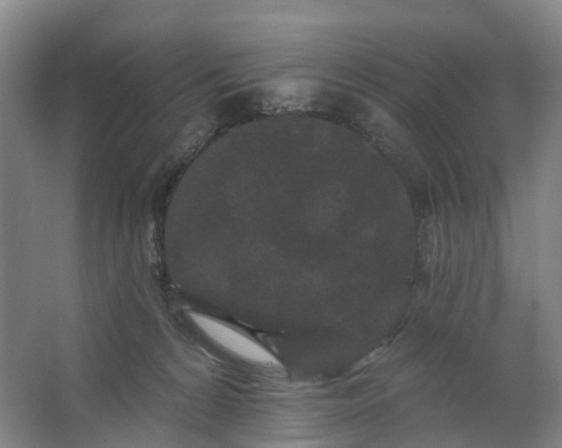 X0000062860224200601271538