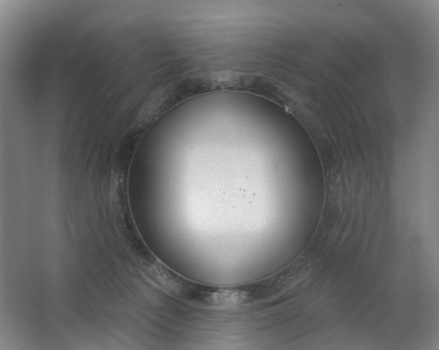 X0000062860225200601271538