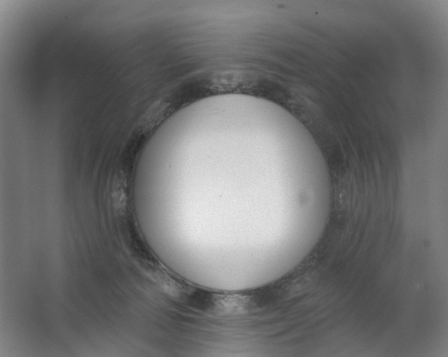 X0000062860226200601271538