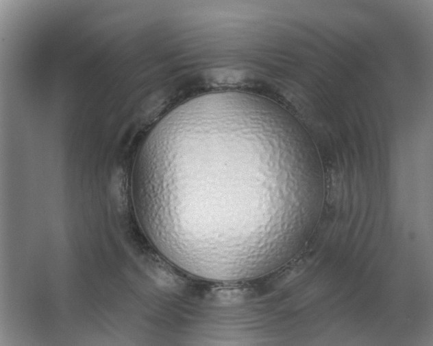 X0000062860228200601271538