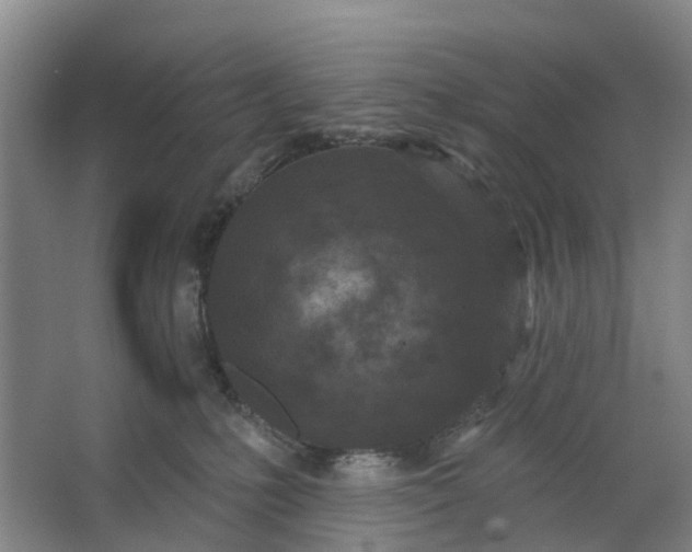 X0000062860231200601271538