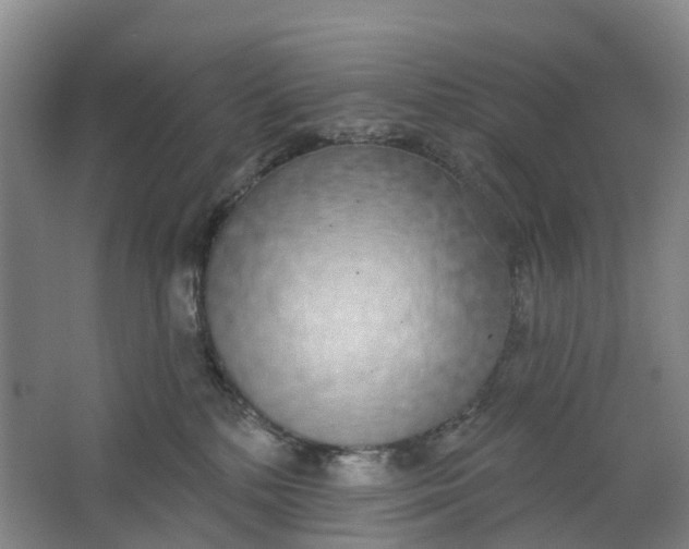 X0000062860232200601271538