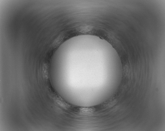 X0000062860234200601271538