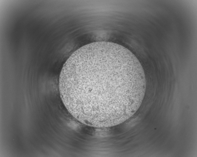 X0000062860240200601271538