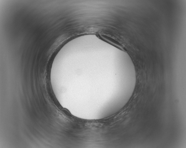 X0000062860242200601271537