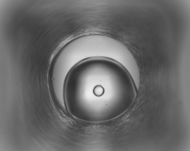X0000062860244200601271537