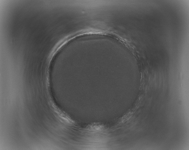 X0000062860247200601271537