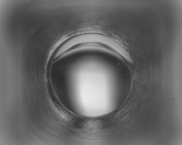 X0000062860248200601271537