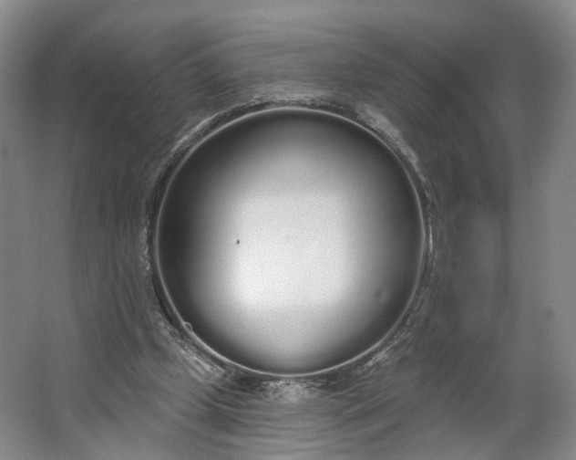 X0000062860249200601271537