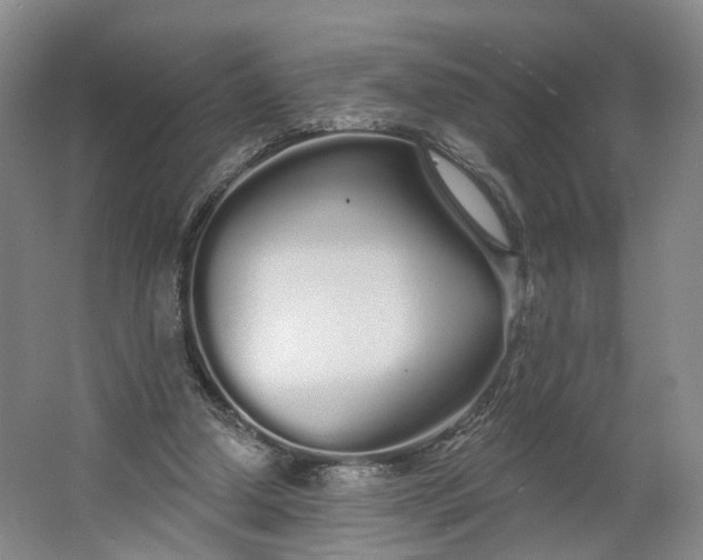 X0000062860250200601271537