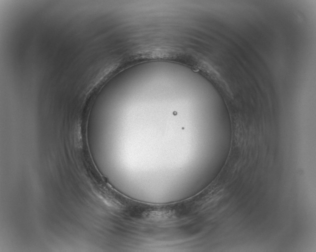 X0000062860251200601271537