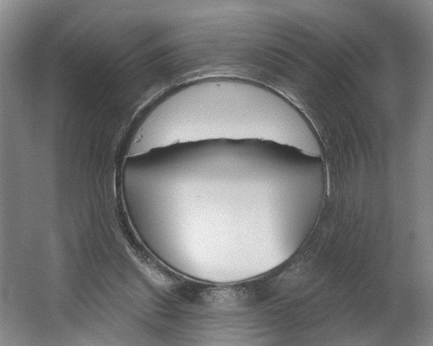 X0000062860253200601271537