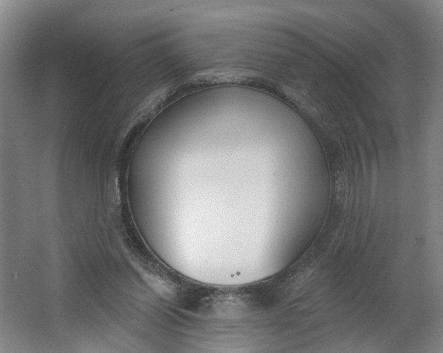 X0000062860254200601271537