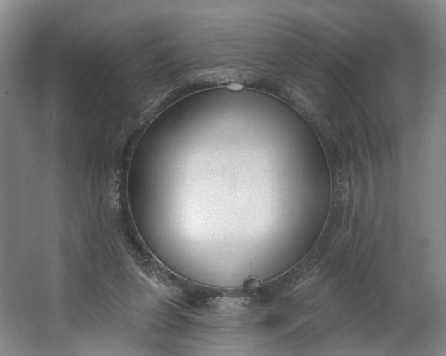 X0000062860255200601271537