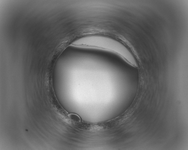 X0000062860257200601271537