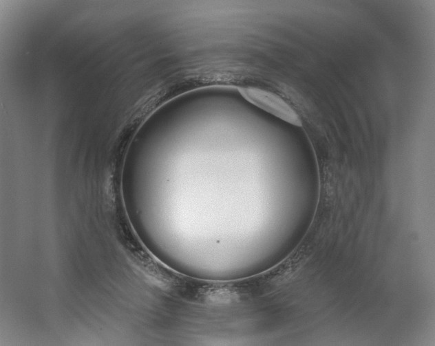 X0000062860258200601271537