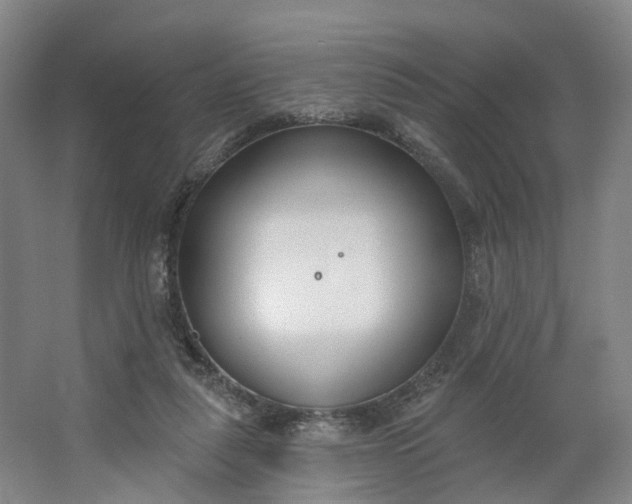 X0000062860259200601271537