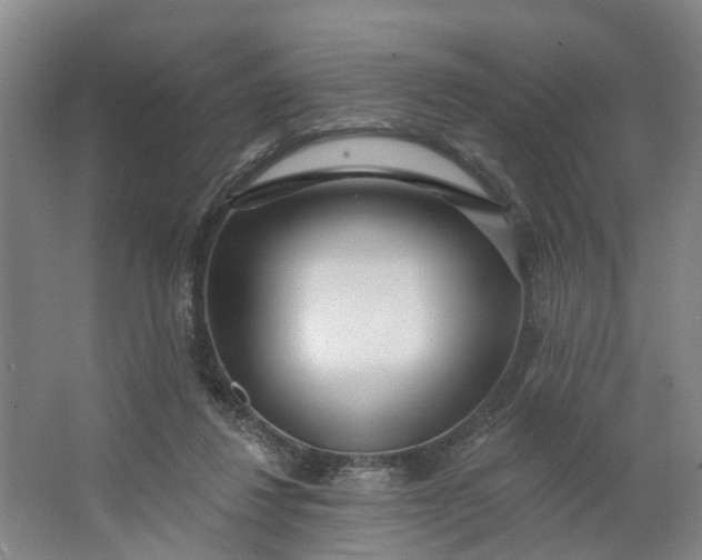 X0000062860260200601271537