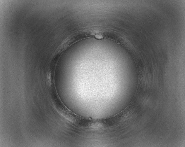 X0000062860262200601271537