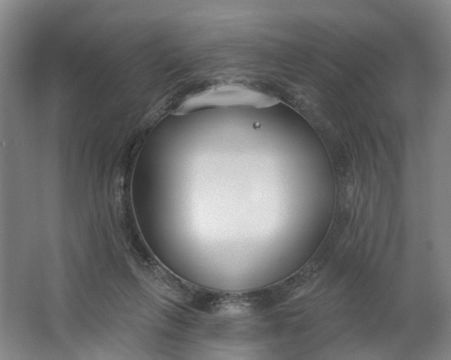 X0000062860263200601271537