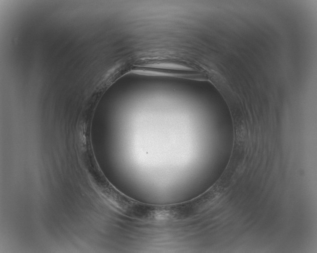 X0000062860264200601271537