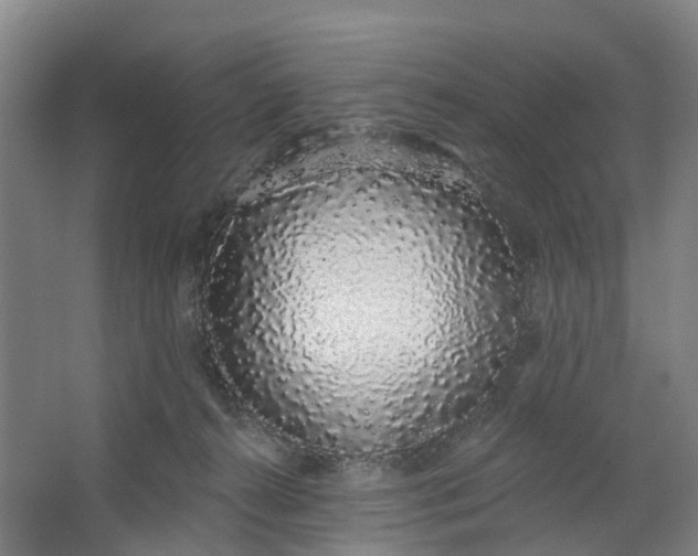 X0000062860272200601271538