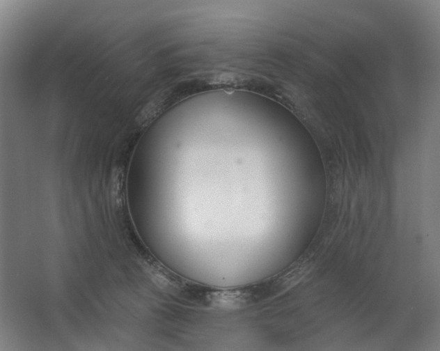 X0000062860273200601271538