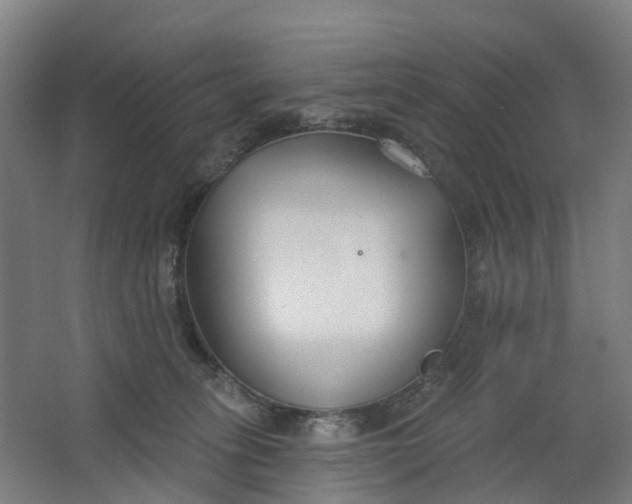 X0000062860275200601271538