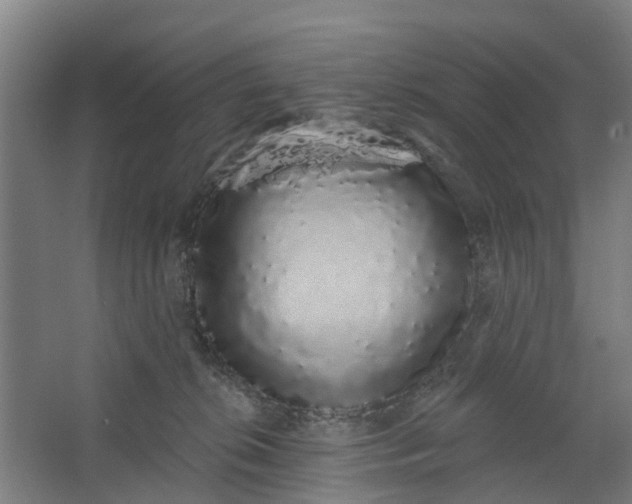 X0000062860276200601271538