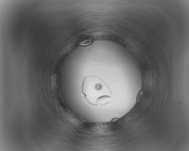 X0000062860278200601271538