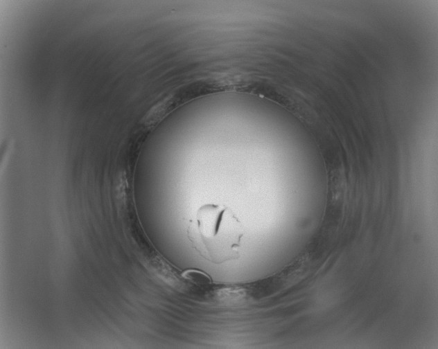 X0000062860279200601271538