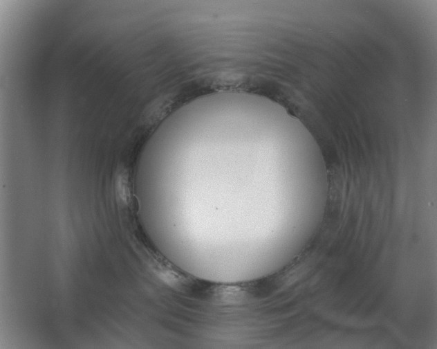 X0000062860287200601271538