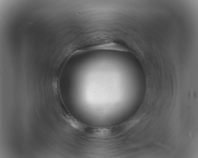 X0000062860288200601271538