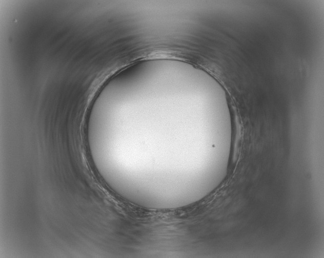 X0000062860289200601271537