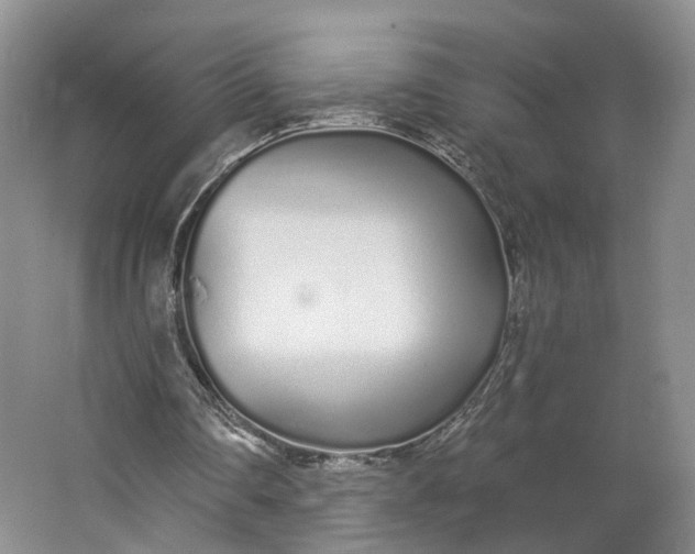 X0000062860290200601271537