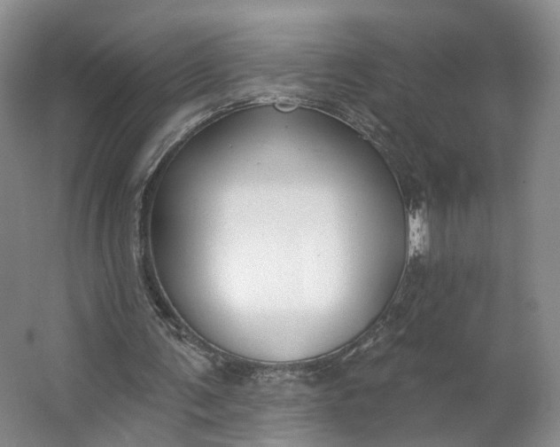 X0000062860291200601271537