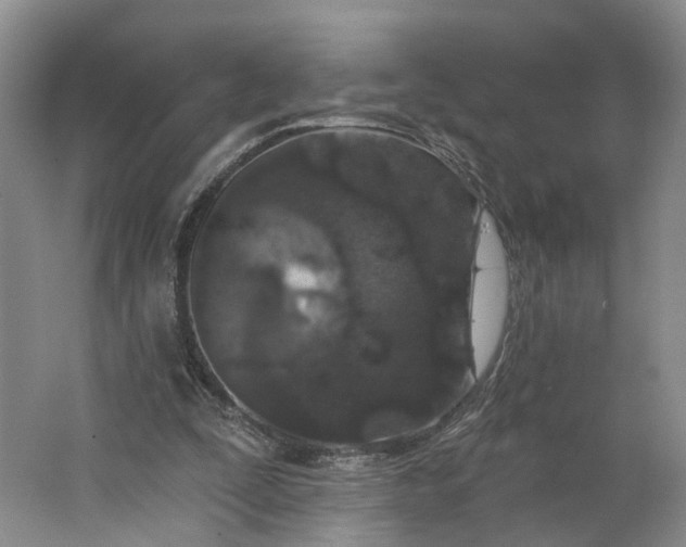X0000062860295200601271537