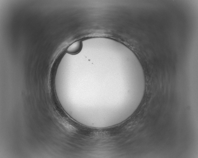 X0000062860296200601271537