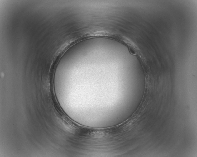 X0000062860298200601271537