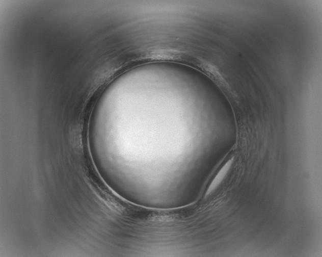 X0000062860299200601271537