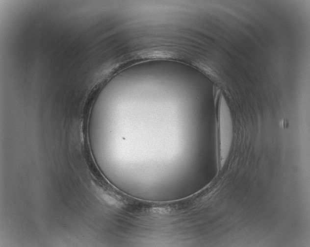 X0000062860302200601271537