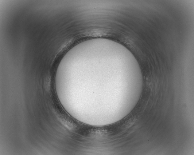 X0000062860304200601271537