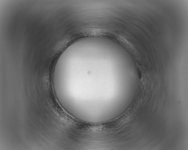 X0000062860306200601271537