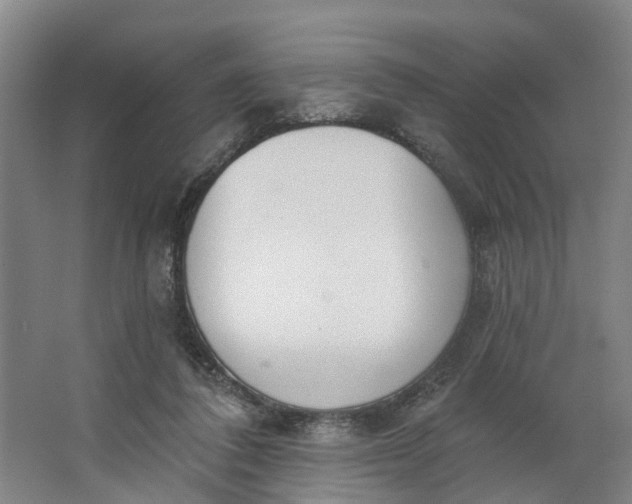 X0000062860308200601271537