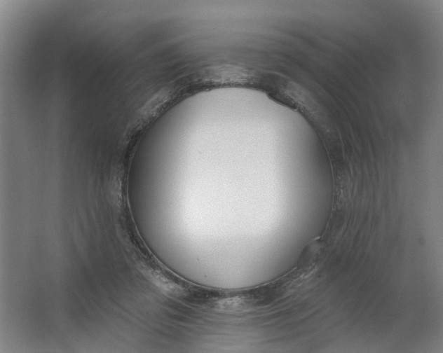 X0000062860309200601271537